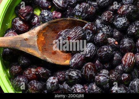 Soaked Black Raisin known for its sugary taste and juicy flavor, Black raisins,Kishmish (dried grape) are made by drying out  Corinth seedless grapes. Stock Photo