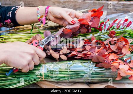 From above cropped unrecognziable professional female florist arranging flower bouquet while working in shop on wooden table Stock Photo