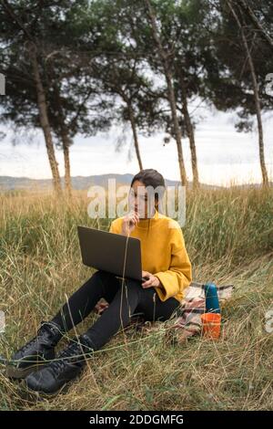 Pensive female freelancer sitting on blanket in field and working on project online while using laptop Stock Photo