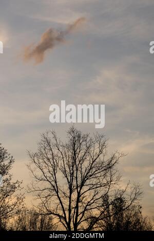 Sunset reflecting off clouds over silhouetted trees in winter Stock Photo