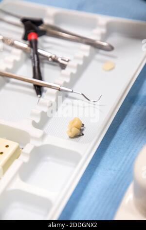 High angle of small artificial teeth placed on table with various dental instruments in clinic Stock Photo