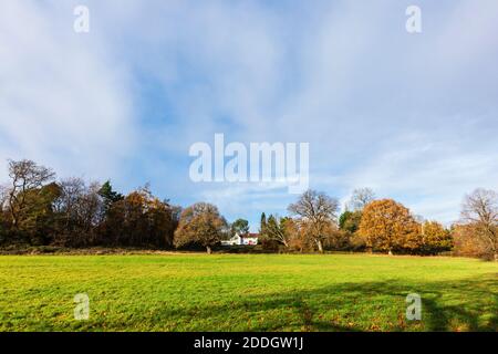 A large white house with views overlooking woodland and fields on Whitmoor Common, a nature reserve in Worplesdon, a village near Guildford, Surrey Stock Photo