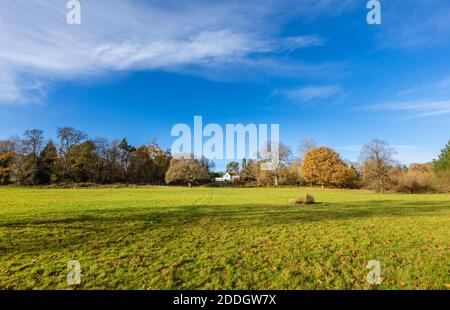 A large white house with views overlooking woodland and fields on Whitmoor Common, a nature reserve in Worplesdon, a village near Guildford, Surrey Stock Photo