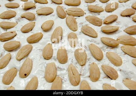 artisanal soft nougat factory of Tonara in the Sardinia region of Italy made with almonds and walnuts Stock Photo