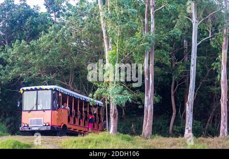 A tourist tram used for tours in Corregidor Island, Philippines Stock Photo