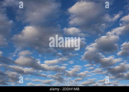 A dappled Mackerel cloudy sky is sometimes known as a buttermilk sky. Never long wet, never long dry. Stock Photo