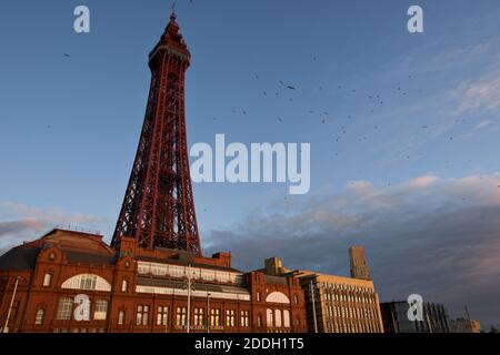 Blackpool Tower building and Comedy carpet, by artist Gordon Young, in sunset time, Blackpool, England, UK Stock Photo