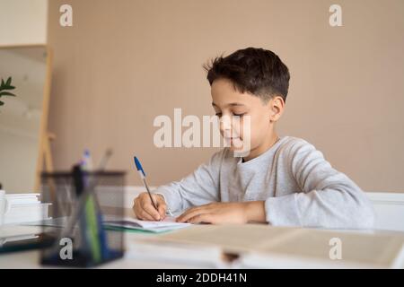 Distance learning online education. A schoolboy boy studies at home and does school homework. A home distance learning. Stock Photo