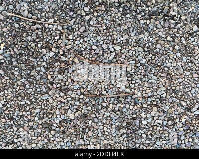 small pebble stone rocks path sticks overhead view with deep shadows and bright details as backdrop background for website architecture presentation s Stock Photo