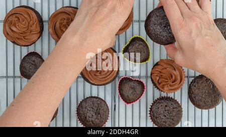 Chocolate cupcakes on cooling rack, close up view from above, woman hands Stock Photo