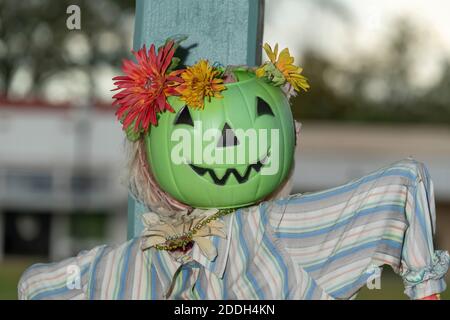 2020 Halloween green pumpkin with flowers and shirt Stock Photo