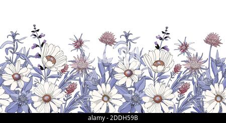 Vector floral seamless border. Flower background. Seamless pattern Stock Vector