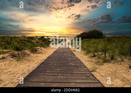 A beautiful shot of a boardwalk on the beach surrounded by greenery under the sunset sky in Borkum, Germany Stock Photo