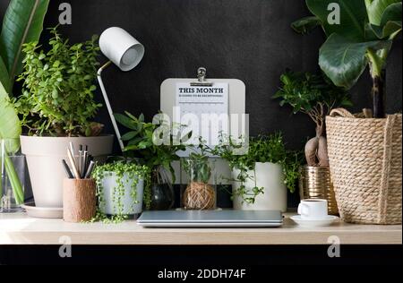 This biophilic home office desk invites nature indoors. The work space is conducive to productivity in a calming work environment. Stock Photo
