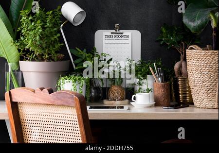 This biophilic home office desk invites nature indoors. The work space is conducive to productivity in a calming work environment. Stock Photo