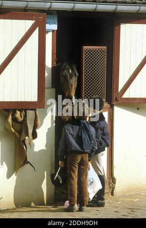 Children with Poney at Horse Box Stock Photo