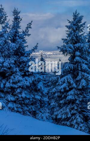 First small winter hike along the Rennsteig through the Thuringian Forest - Schneekopf/Germany Stock Photo