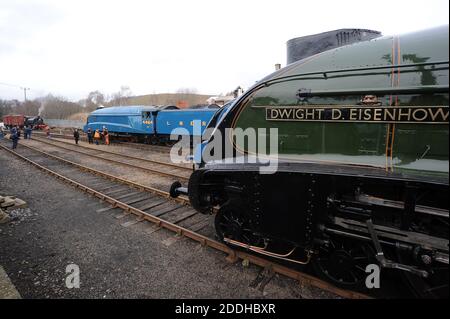 '03066', 'Bittern' and 'Dwight D. Eisenhower' in the yard at Barrow Hill. Stock Photo