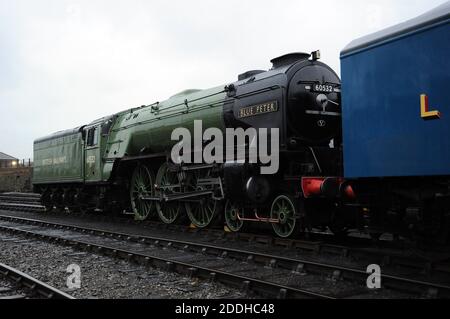 'Blue Peter' coupled behind 'Bittern' in the yard at Barrow Hill. Stock Photo