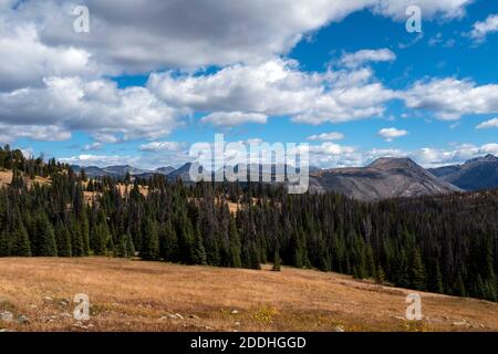 WA18996-00...WASHINGTON - View east from the Boundary Trail overlooking Bald Mountain and Cathedral Peak in the Pasayten Wilderness. Stock Photo