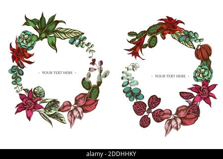 Floral Wreath of colored ficus, iresine, kalanchoe, calathea, guzmania, cactus Stock Vector