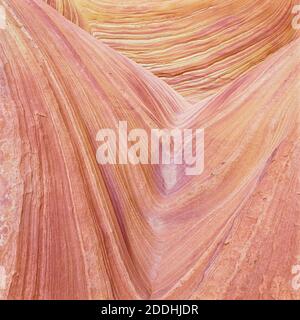 swirling sandstone formations in the coyote buttes area of paria canyon-vermillion cliffs wilderness near page, arizona Stock Photo