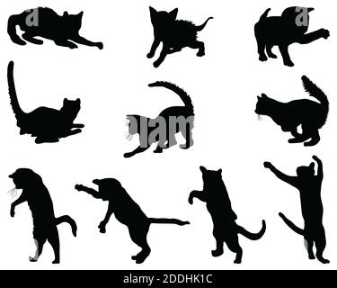 Black silhouettes of cats on a white background Stock Photo
