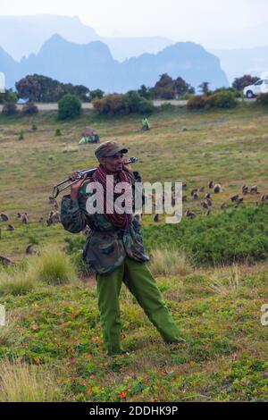 Debark, Ethiopia - Nov 2018: Local scouts with rifles observing wild baboons, Simien Mountains, Ethiopia Stock Photo