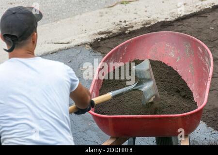 A worker pours moistened soil into a wheelbarrow and takes it to a site for planting grass Stock Photo