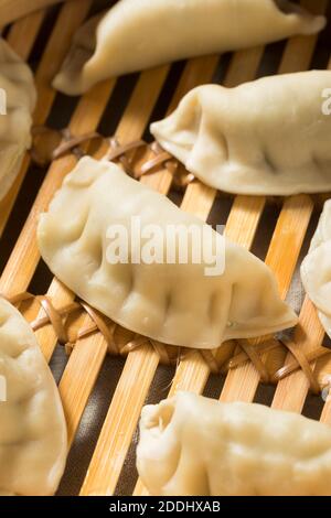 Homemade Steamed Pork Dumplings Ready to Eat Stock Photo