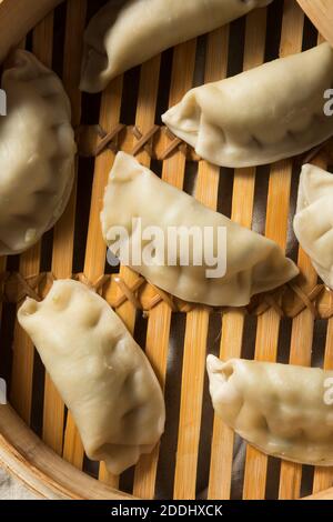 Homemade Steamed Pork Dumplings Ready to Eat Stock Photo