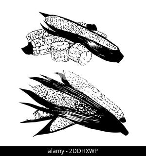 Corn hand drawn sketch.Vector illustration isolated in white background Stock Photo