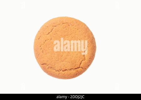 A ginger Nut biscuit on a white background Stock Photo