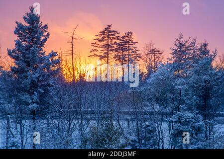 Sun setting over a highway with snow on the trees and a pink sky Stock Photo
