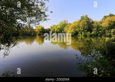 Summer view over Stanborough Park lake, Welwyn Garden City, Hertfordshire, England Stock Photo