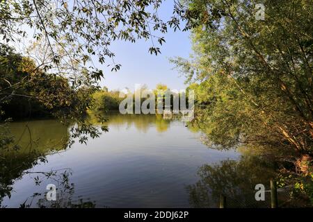 Summer view over Stanborough Park lake, Welwyn Garden City, Hertfordshire, England Stock Photo