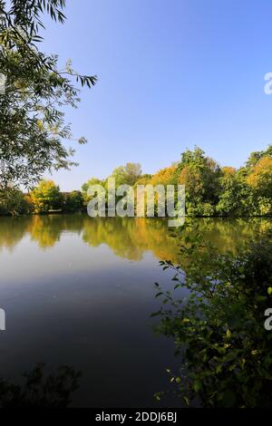 Summer view over Stanborough Park lake, Welwyn Garden City, Hertfordshire, England Stock Photo