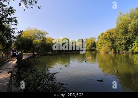 Summer view over Stanborough Park lake, Welwyn Garden City, Hertfordshire, England Stock Photo