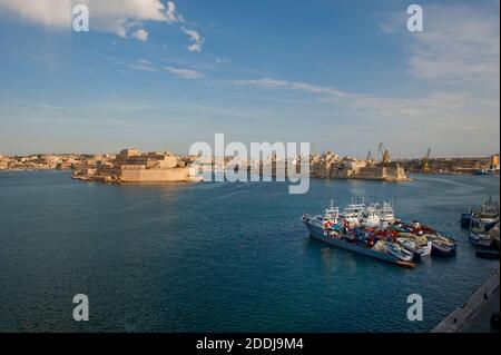 Atlantic Bluefin tuna fishing boats in Valletta harbour. Malta, Mediterranean Sea. Stock Photo