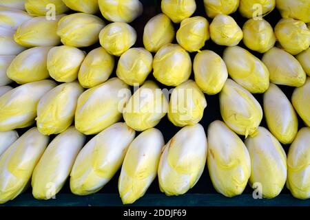 White Belgian endives at a farmers market Stock Photo