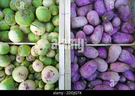 Crate of giant green and white watermelon winter radishes at a  farmers market Stock Photo
