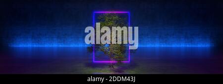 tree with frame on black background. 3d rendering Stock Photo