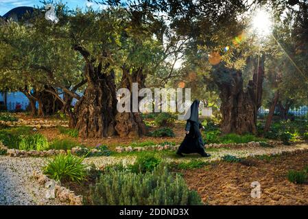 Nun walking in The Garden of Gethsemane, Jerusalem, Israel Stock Photo