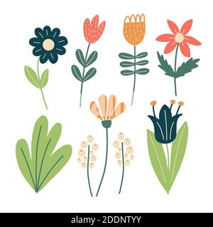 Set of laconic flowers in scandinavian style, in vector graphics. For the design of postcards, posters, prints on clothes, pillows, dishes, notebook Stock Vector