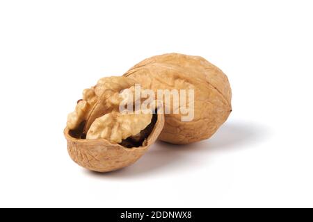 Walnuts isolated on white. Walnut in a nutshell Stock Photo