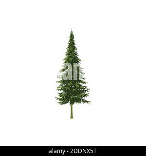 pine tree design illustration Stock Vector