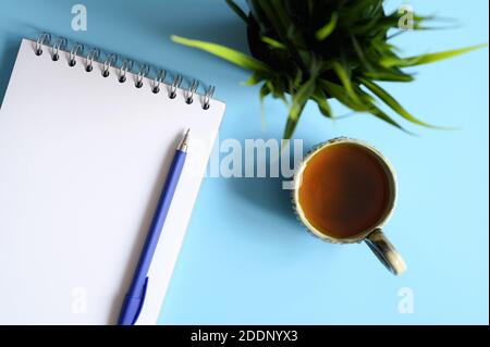 notebook or sketchbook and a pen and tea cup and green plant on a blue background Stock Photo