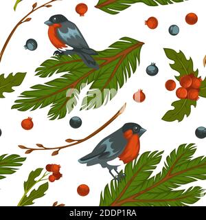 Bullfinch bird sitting on pine tree branch pattern Stock Vector