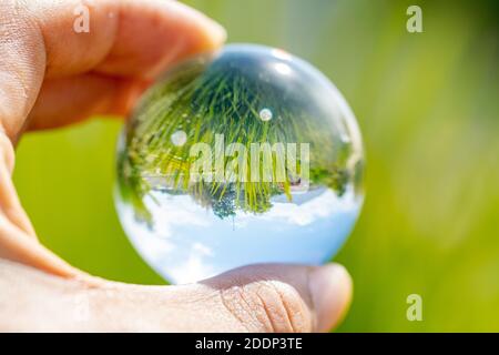 a view of a garden image inverted through a glass sphere in my hand Stock Photo