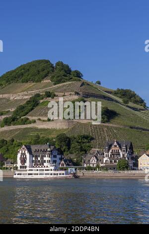 geography / travel, Germany, Hesse, Ruedesheim on the Rhine, Assmannshausen with vineyards of the Rhin, Additional-Rights-Clearance-Info-Not-Available Stock Photo